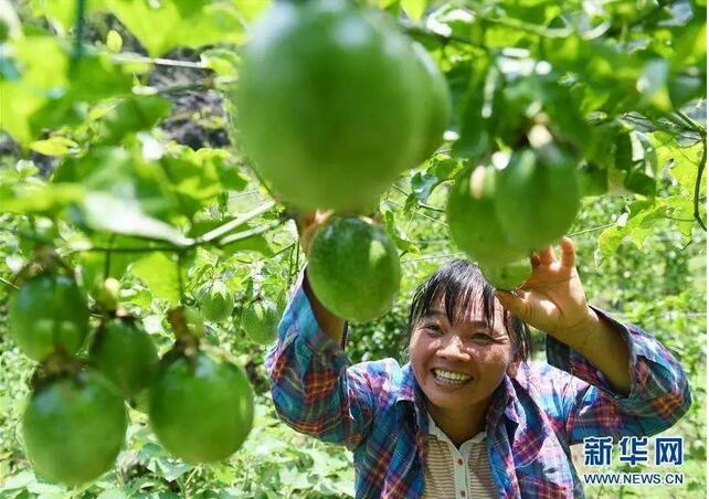 人社部、國務(wù)院扶貧辦聯(lián)合開展深度貧困地區(qū)技能扶貧行動(dòng)