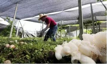 人社部、國務(wù)院扶貧辦聯(lián)合開展深度貧困地區(qū)技能扶貧行動(dòng)