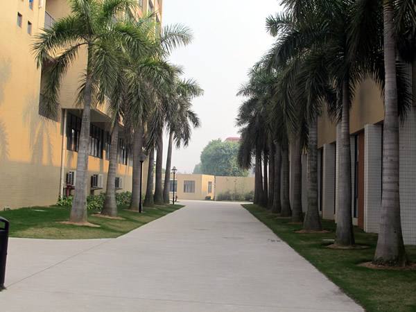 到石家莊鐵路專業(yè)學(xué)校學(xué)習(xí)鐵道運(yùn)輸管理專業(yè)好嗎？