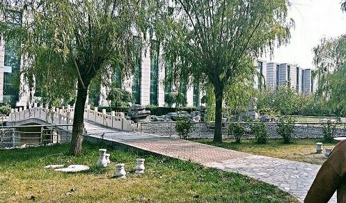 會計專業(yè)課程怎么樣？   