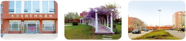 為什么那么多人想成為郵輪乘務(wù)人員？