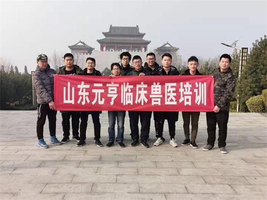 想當(dāng)獸醫(yī)要學(xué)什么？   