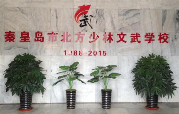 秦皇島北方少林文武學(xué)校就業(yè)如何？這答案你放心！