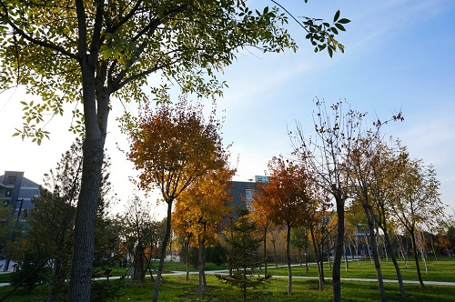 石家莊哪里適合學(xué)播音主持？