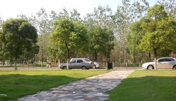 唐山慧豐會(huì)計(jì)培訓(xùn)學(xué)校特色班有哪些？