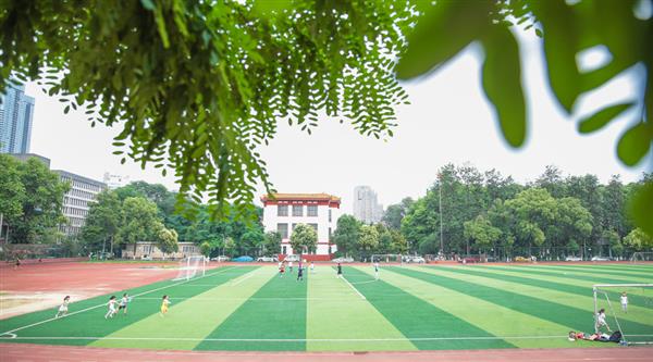 為什么選擇青島滿天星職業(yè)培訓(xùn)學(xué)校？