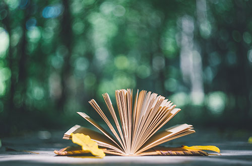 現(xiàn)代遠(yuǎn)程教育怎么樣？能考哪些學(xué)校？