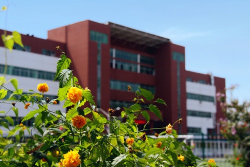 石家莊經(jīng)濟(jì)職業(yè)學(xué)院有單招嗎？