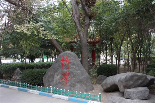  山東人民專修學(xué)院怎樣安排學(xué)生就業(yè)？