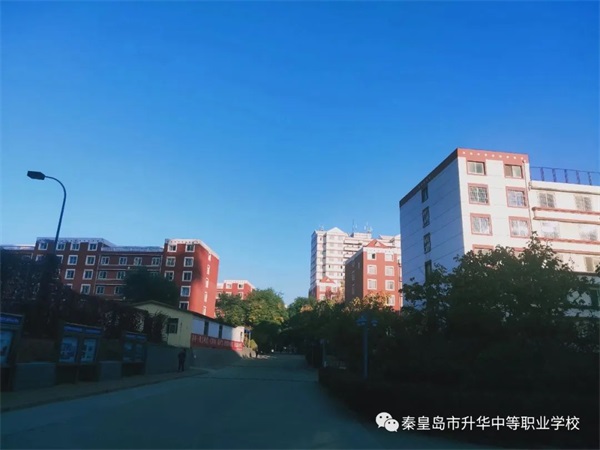 秦皇島市升華中等職業(yè)學(xué)校有電子商務(wù)專業(yè)嗎？