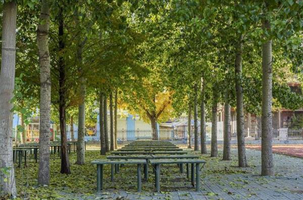 山東電子職業(yè)技術(shù)學(xué)院哪里好？