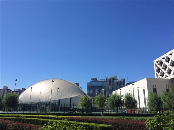 北京國際青年研修學(xué)院都開設(shè)哪些專業(yè)？