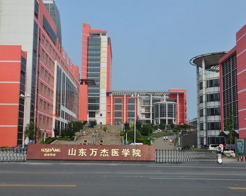 山東萬(wàn)杰醫(yī)學(xué)院優(yōu)勢(shì)有哪些？