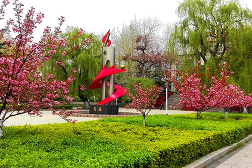 選擇齊魯技術(shù)學(xué)院學(xué)幼師怎么樣？