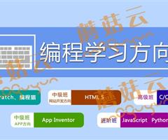 孩子為什么要盡早學(xué)習(xí)少兒編程。濟(jì)寧蘑菇云少兒編程