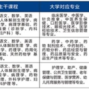 職教高考班