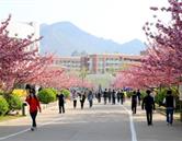校園風(fēng)光